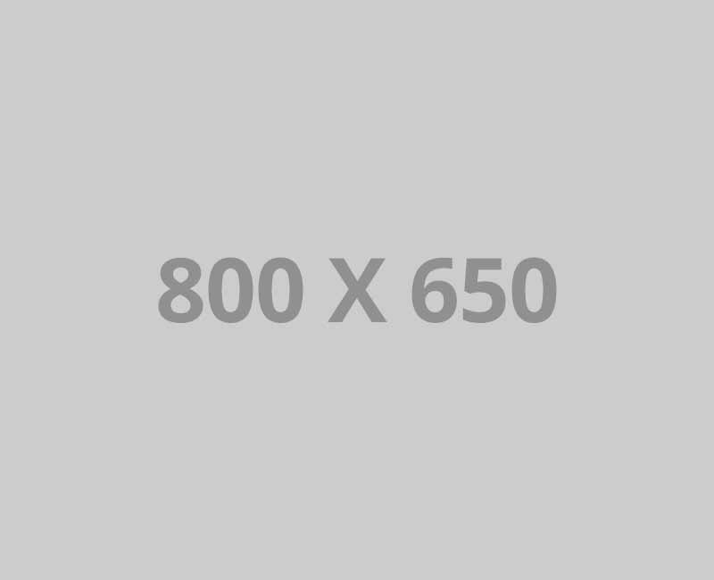 pofo 800x650-ph Plant based medicines
